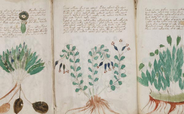 The Voynich Manuscript