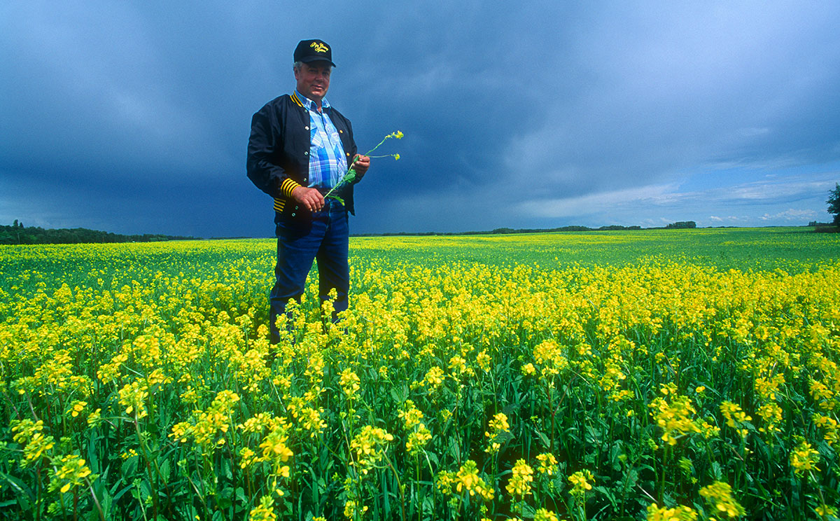 Percy Schmeiser vs Monsanto