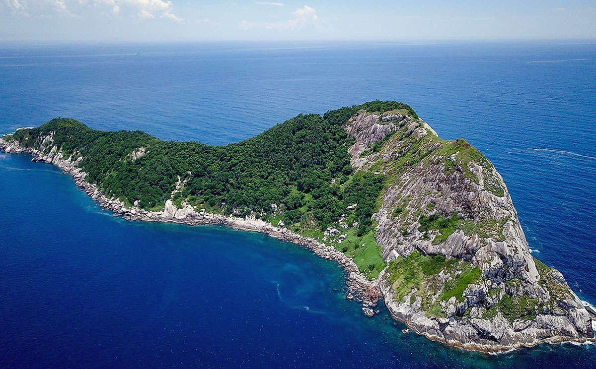 Surviving Brazil's Snake Island